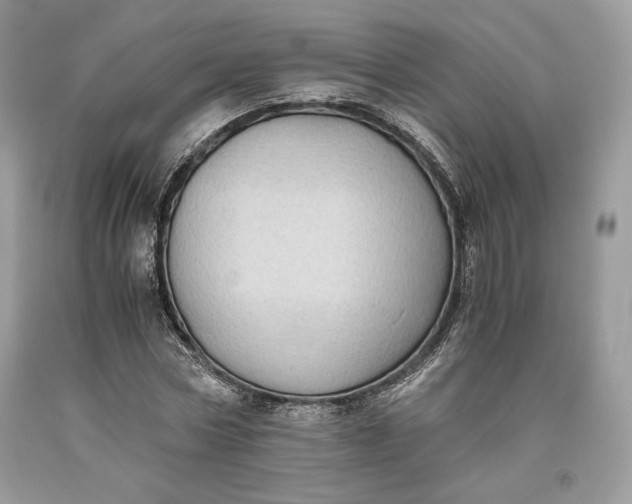 X0000093460778200710261020