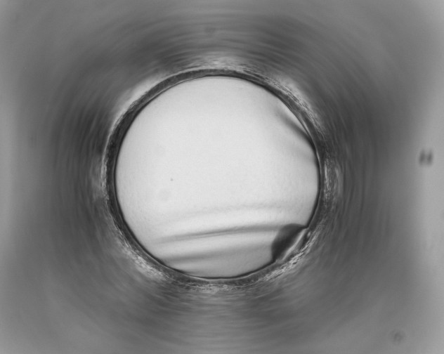 X0000093460780200710261020