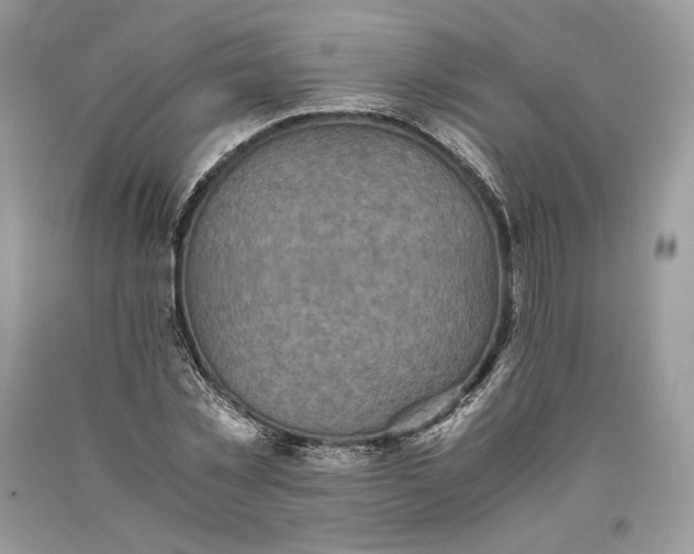 X0000093460781200710261020