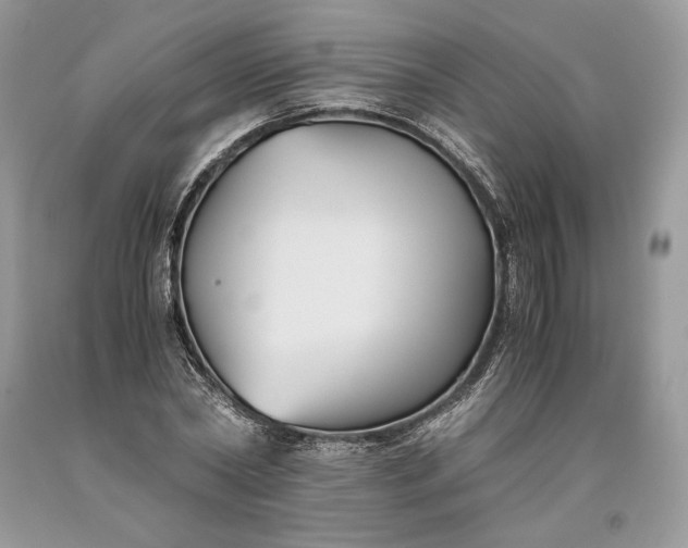 X0000093460782200710261020