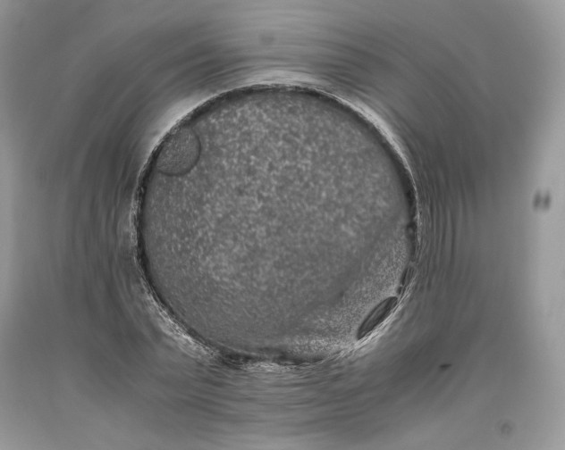 X0000093460783200710261019