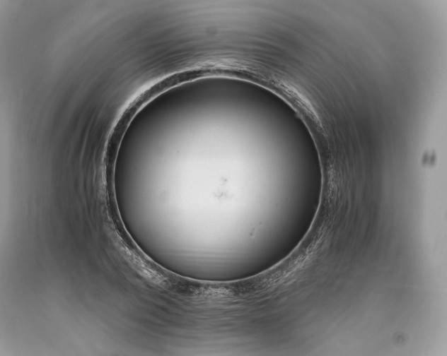 X0000093460784200710261019