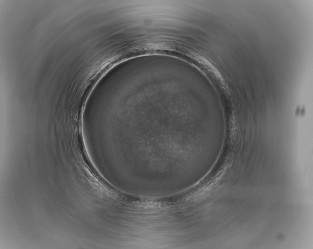 X0000093460785200710261019