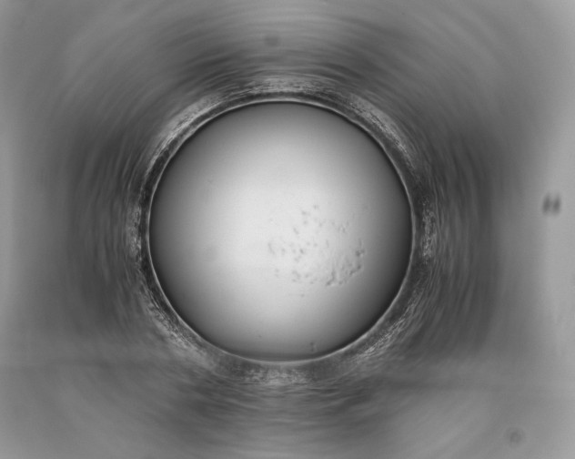 X0000093460786200710261019