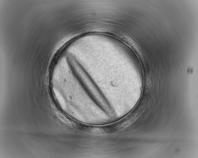 X0000093460787200710261019