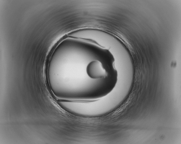 X0000093460788200710261019