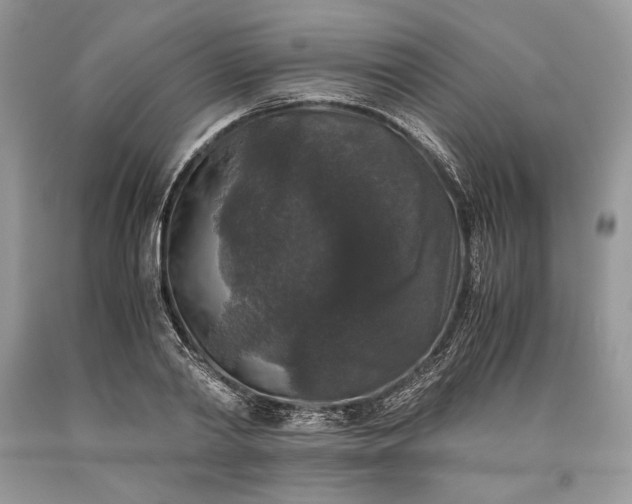 X0000093460790200710261019