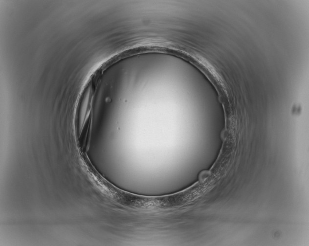 X0000093460791200710261019