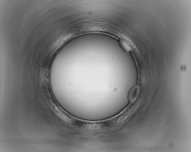 X0000093460793200710261019