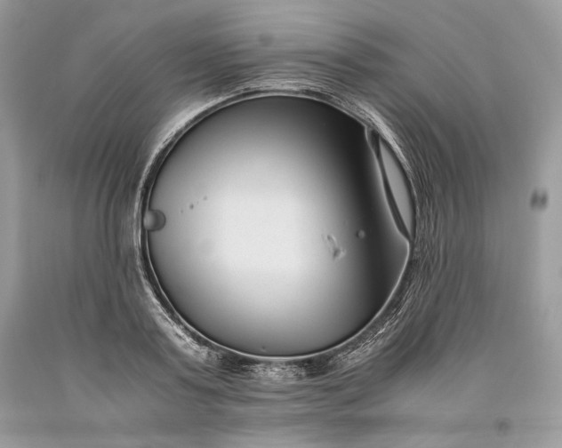 X0000093460795200710261019