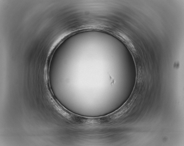 X0000093460796200710261019