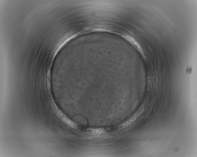 X0000093460798200710261019