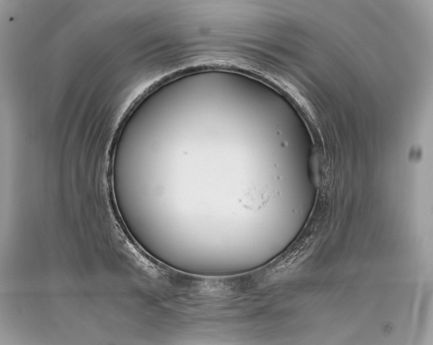 X0000093460799200710261019