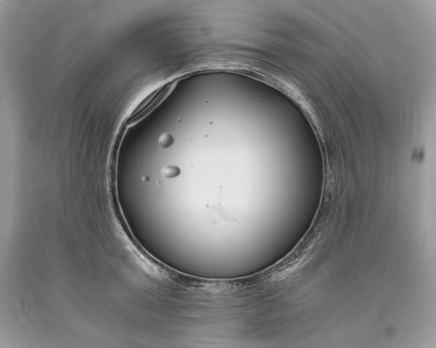 X0000093460803200710261019