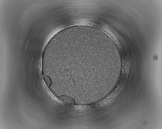 X0000093460804200710261019