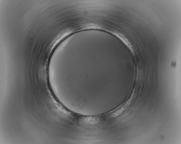 X0000093460806200710261019