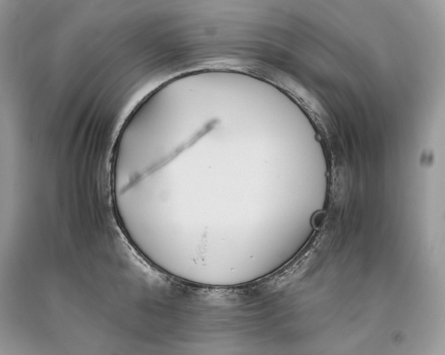 X0000093460808200710261019