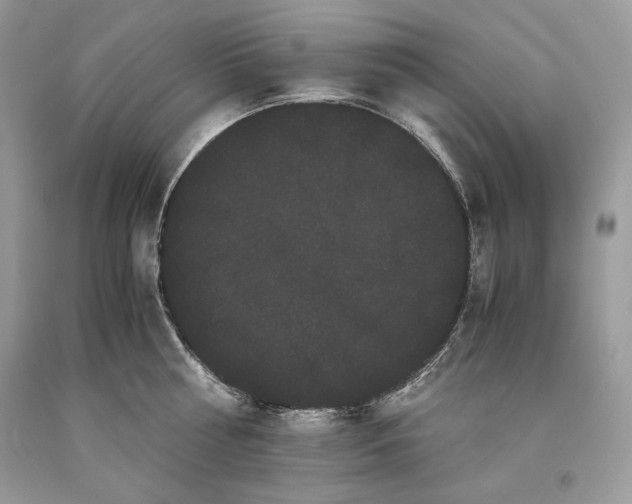 X0000093460810200710261019