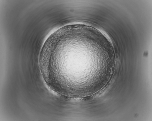 X0000093460813200710261019