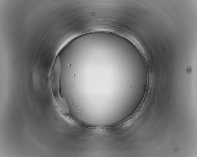 X0000093460814200710261019