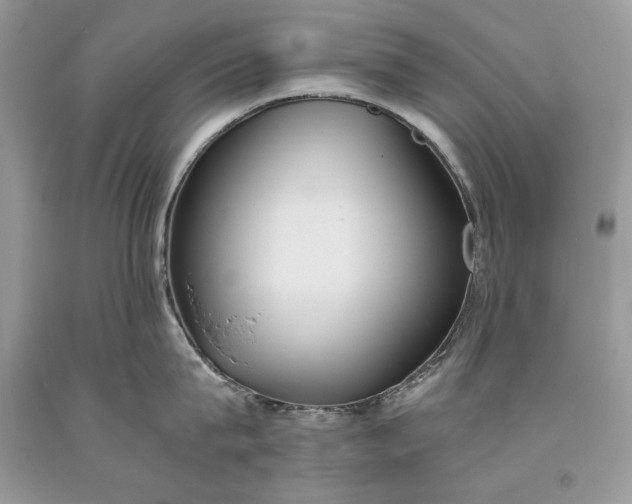 X0000093460815200710261019