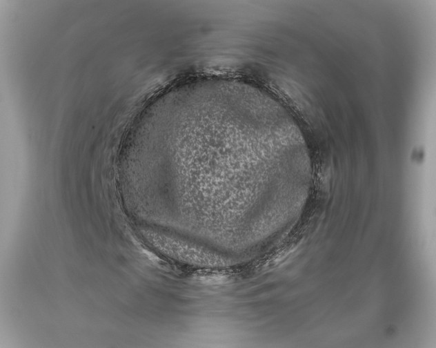 X0000093460817200710261018