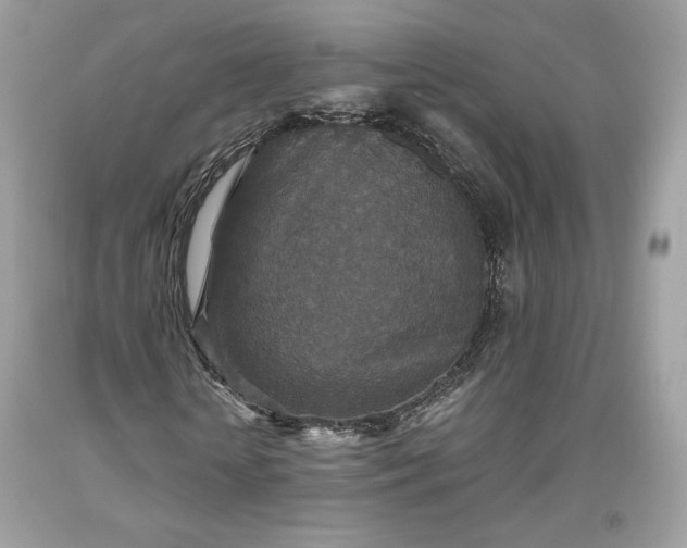 X0000093460818200710261018