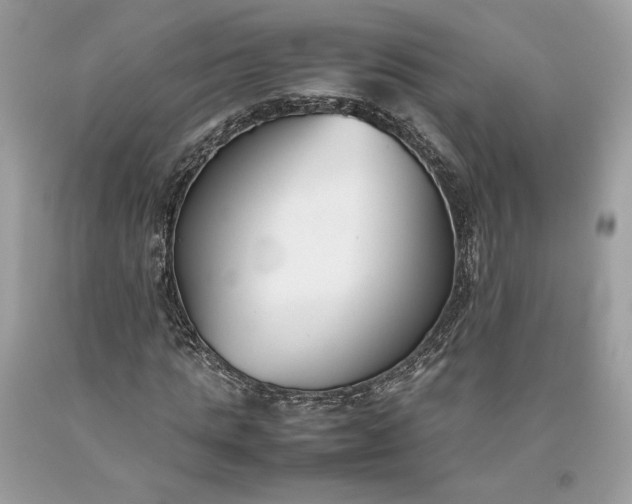 X0000093460821200710261018