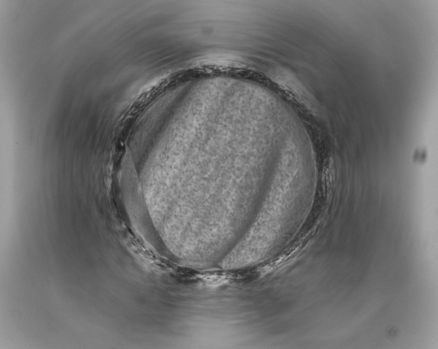 X0000093460822200710261018