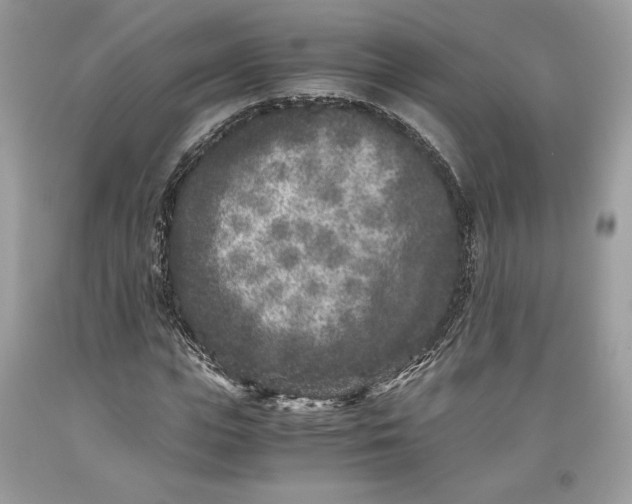 X0000093460823200710261018