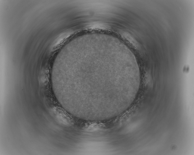 X0000093460824200710261018