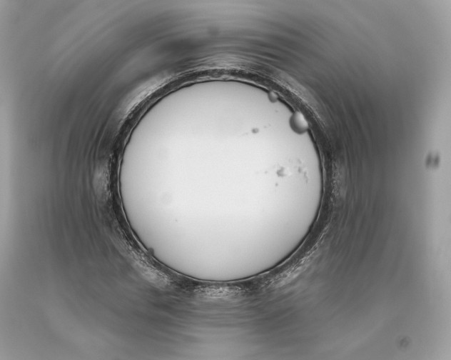 X0000093460826200710261018