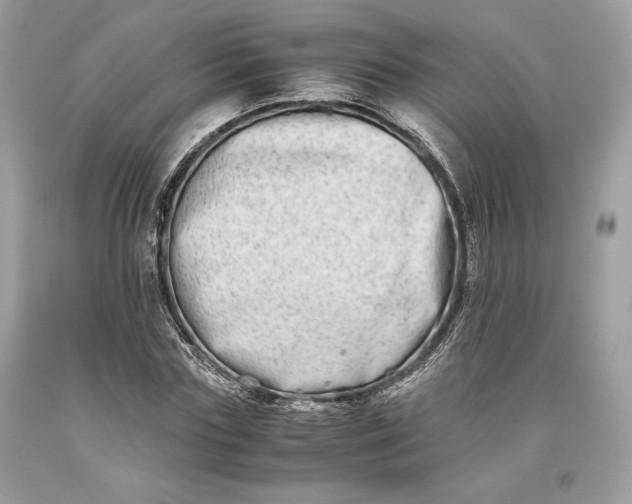 X0000093460827200710261018