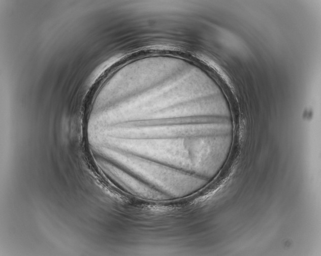 X0000093460829200710261019