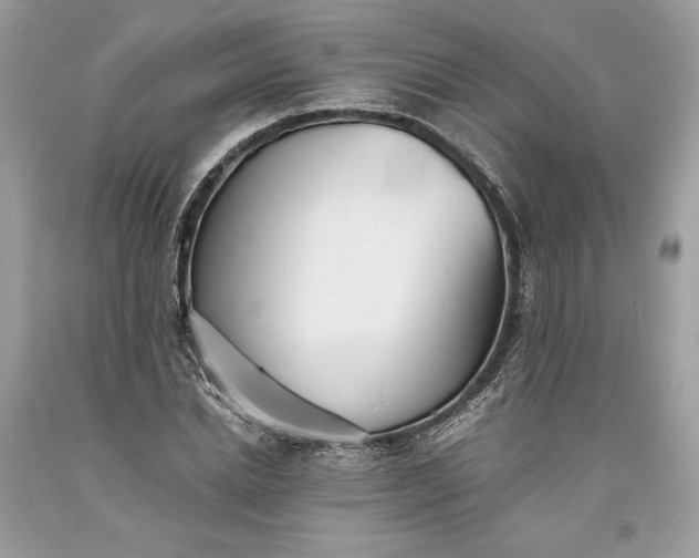 X0000093460830200710261019