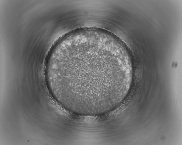 X0000093460832200710261019