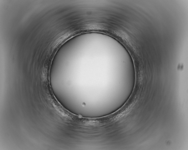 X0000093460833200710261019