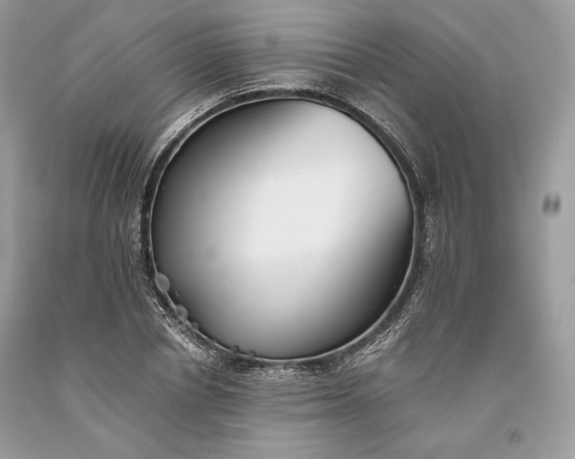 X0000093460834200710261019