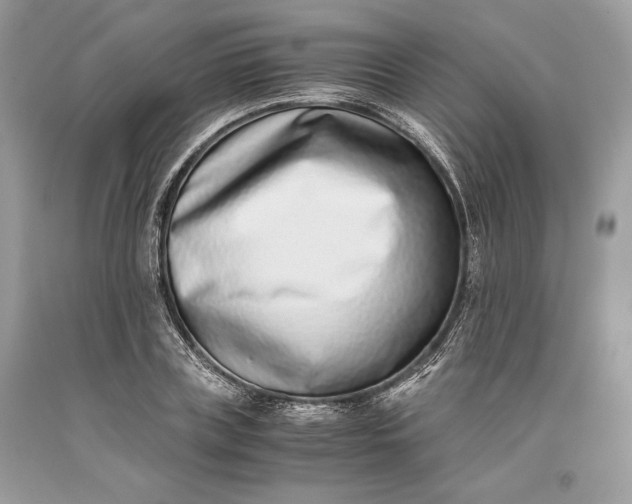 X0000093460835200710261019