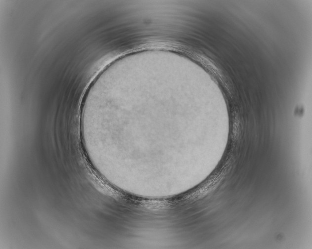 X0000093460836200710261019