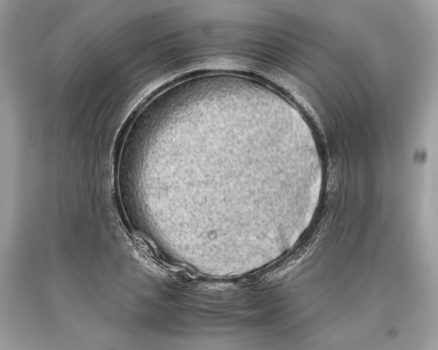 X0000093460837200710261019