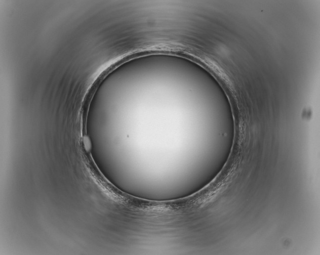 X0000093460838200710261019