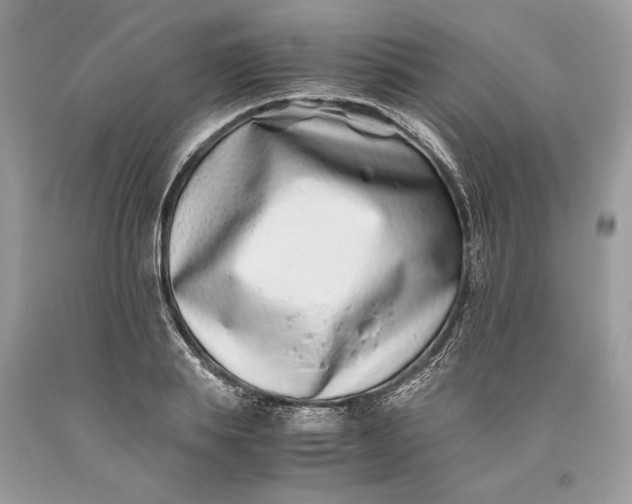 X0000093460839200710261019