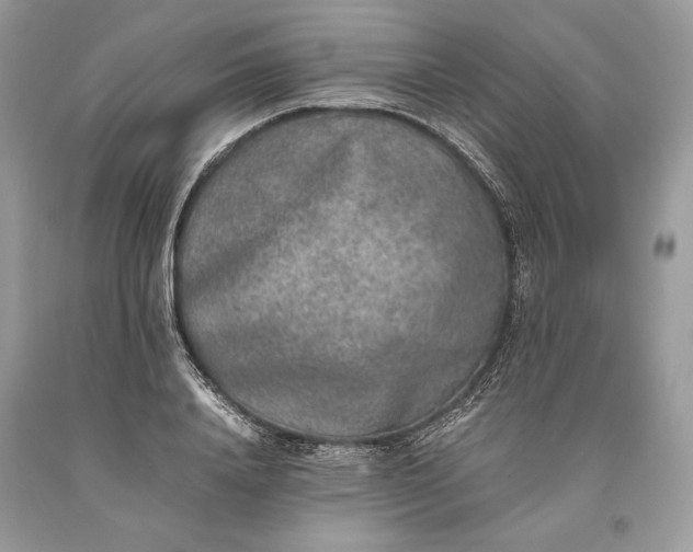 X0000093460840200710261019