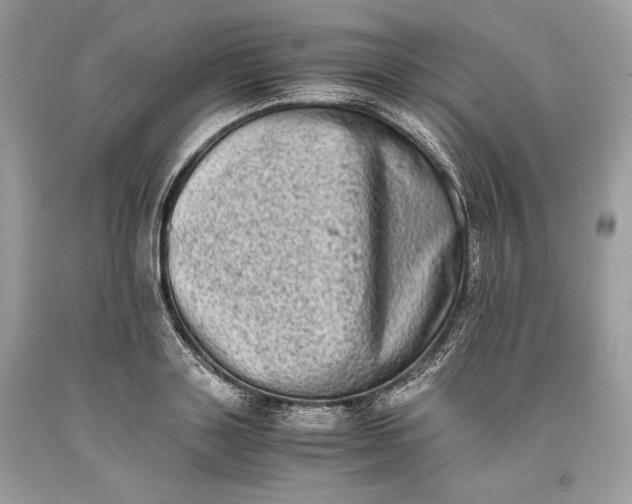 X0000093460843200710261019