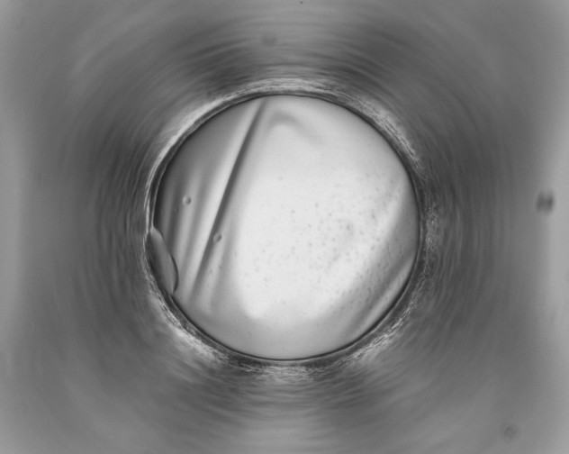 X0000093460844200710261019