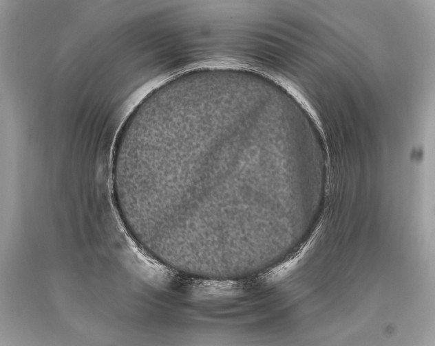 X0000093460845200710261019