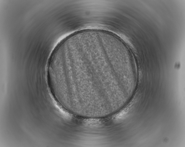 X0000093460846200710261019