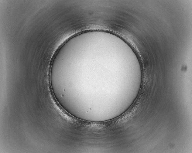 X0000093460847200710261019