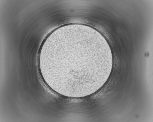 X0000093460848200710261019